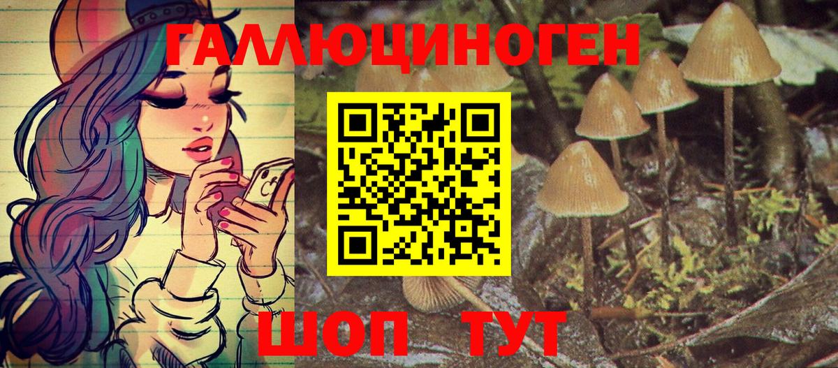 Галлюциногенные грибы MAGIC MUSHROOMS Ефремов
