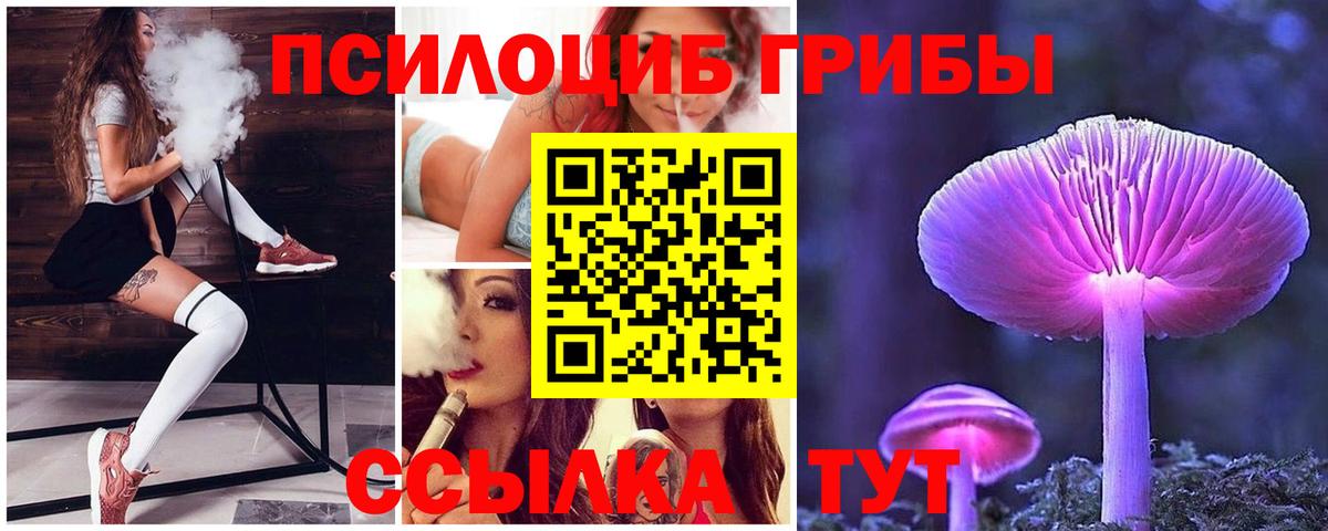 Ефремов  Псилоцибиновые грибы прущие грибы  Вход с VPN  Галлюциногенные грибы Psilocybe 